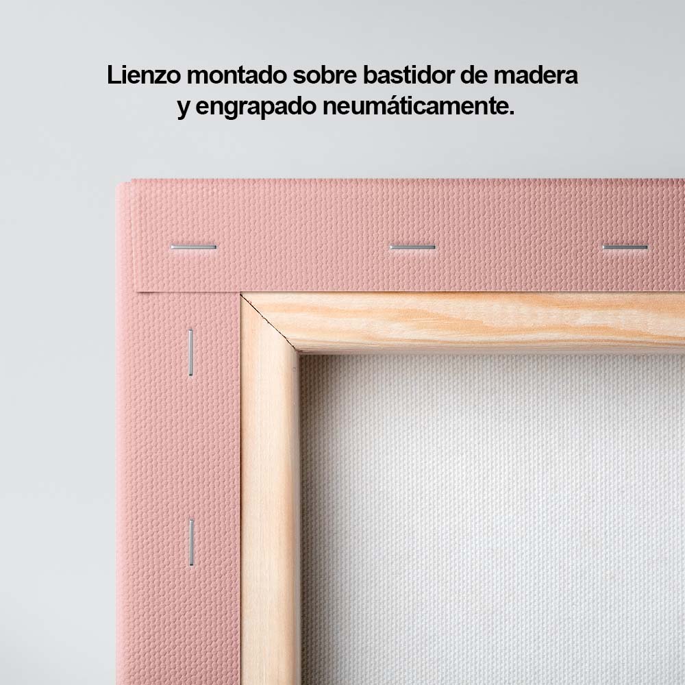 Ganzo blanco en fondo rosa