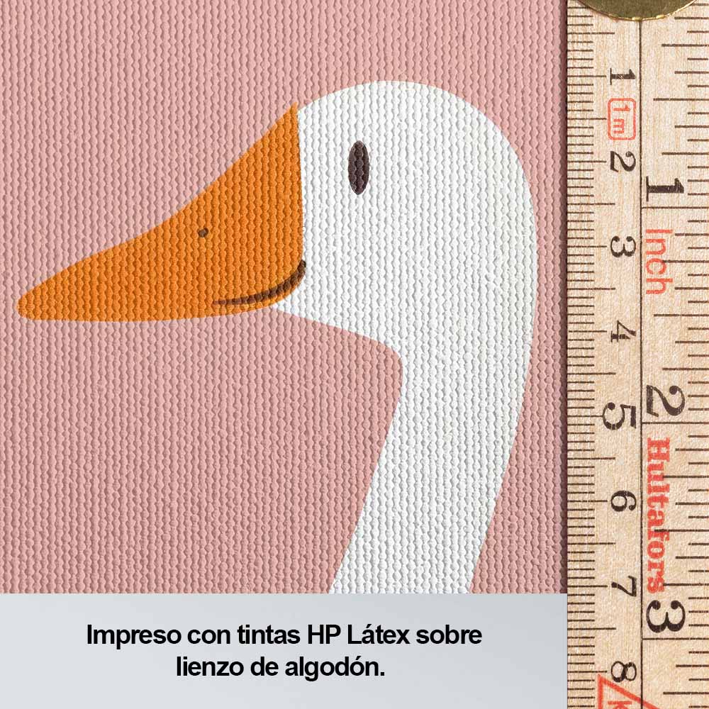 Ganzo blanco en fondo rosa