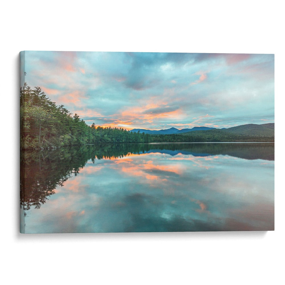 El espejo de la naturaleza