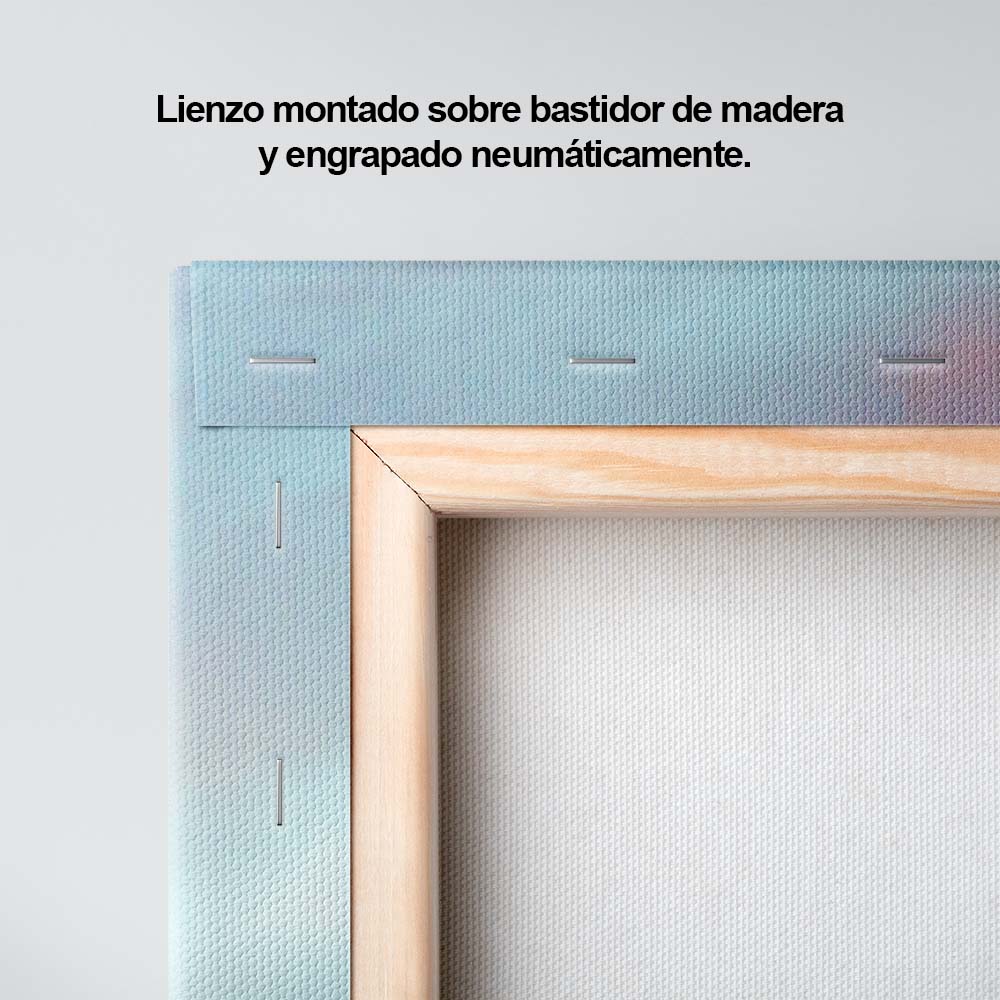 El espejo de la naturaleza