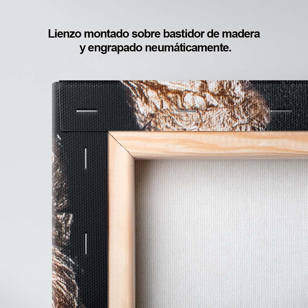 Estilo y color