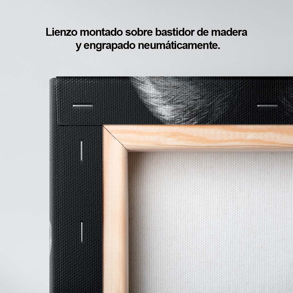 Esencia de Luz y Oscuridad