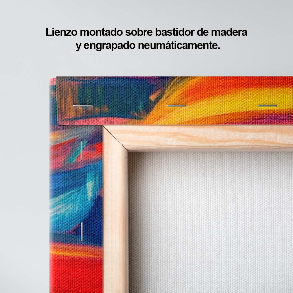 Botes y color