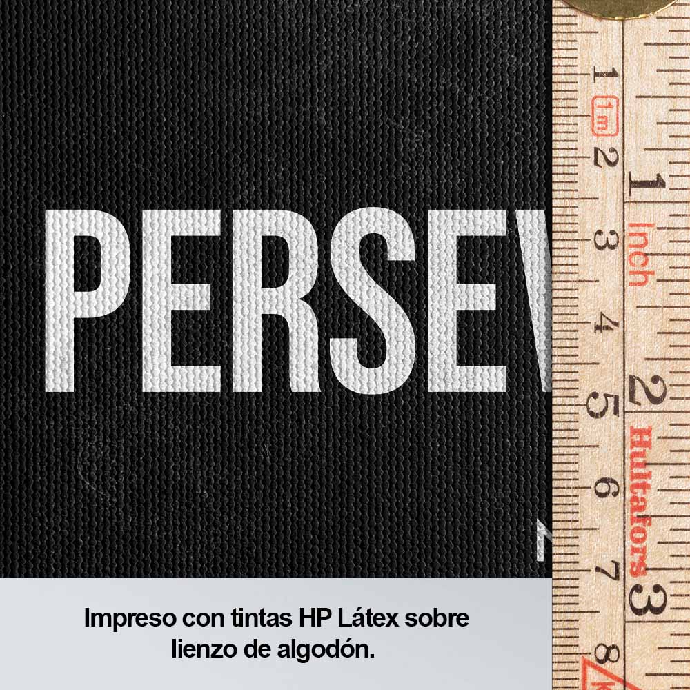 Perseverance