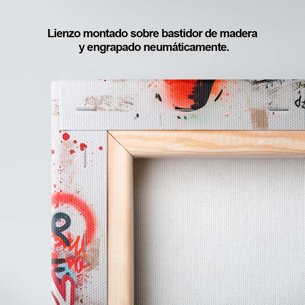 Paz y colores