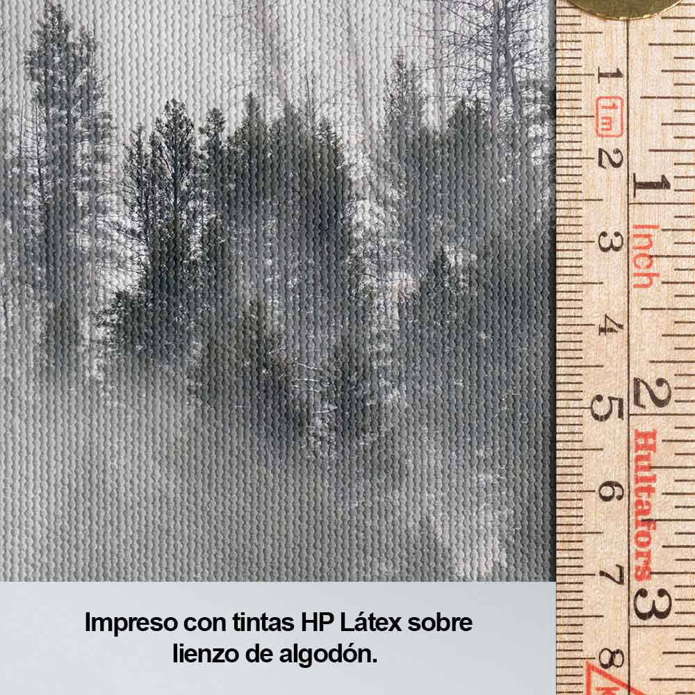 Bruma en el bosque