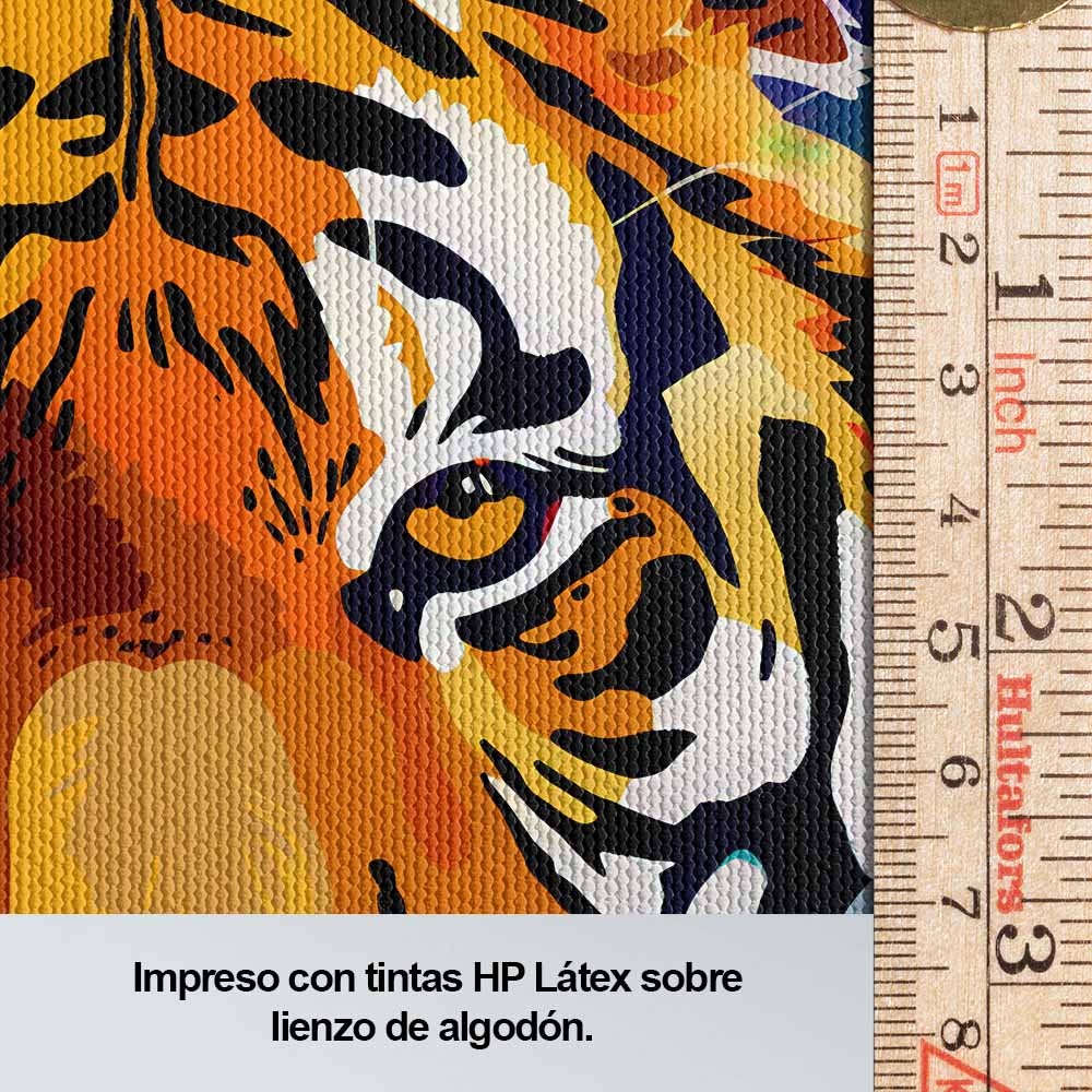 Tigre y color