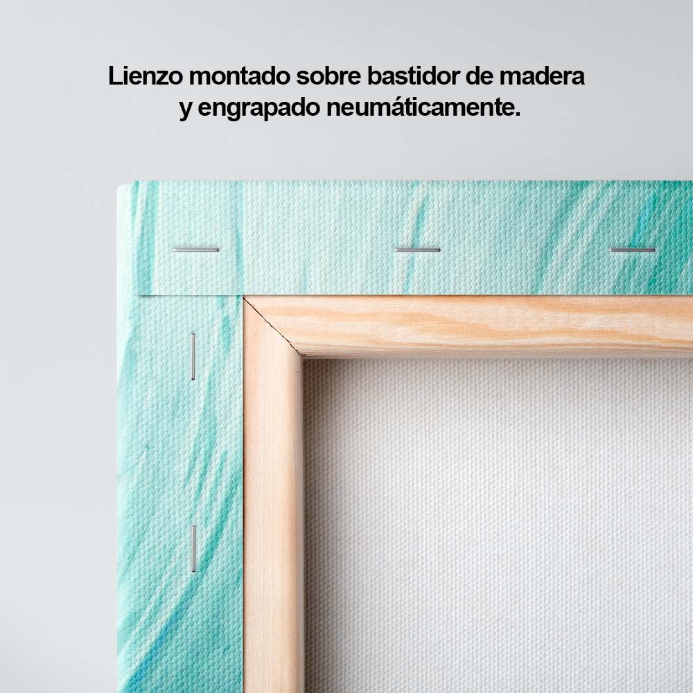 Encuentros del agua