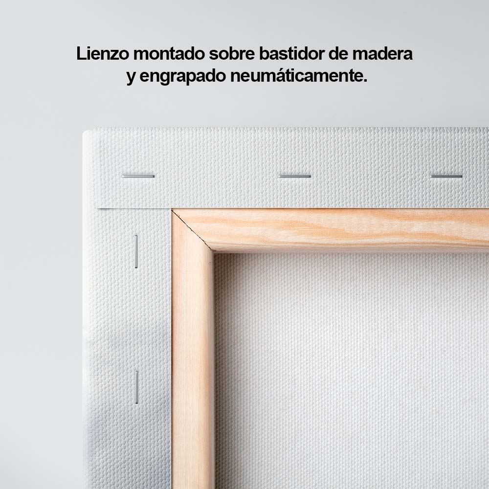 Imponencia del bosque