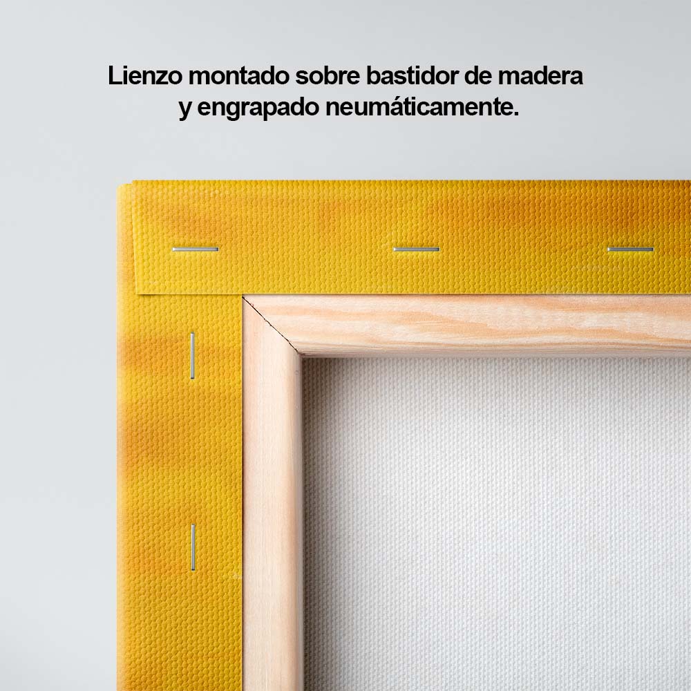 Mirada al futuro