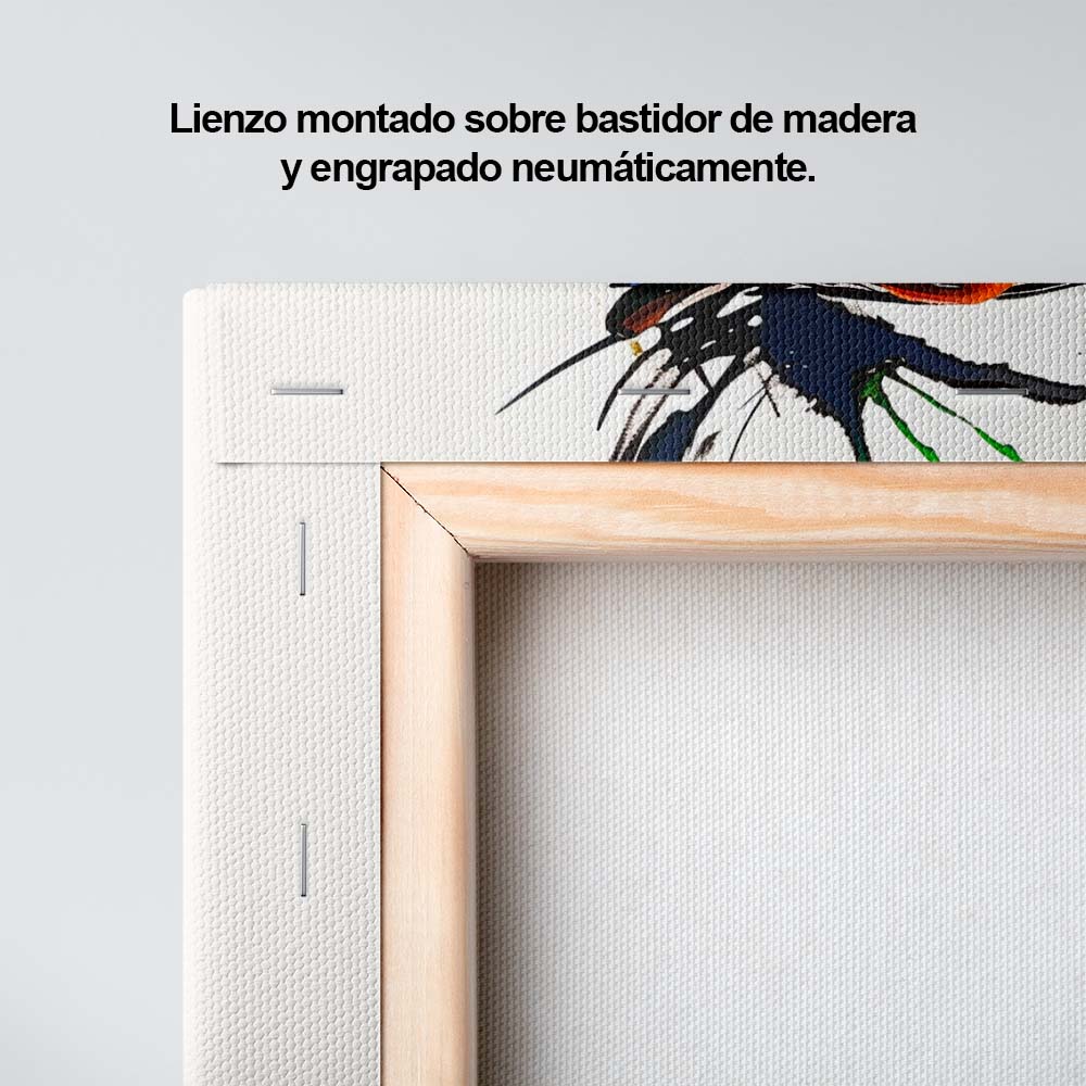 Siluetas de color