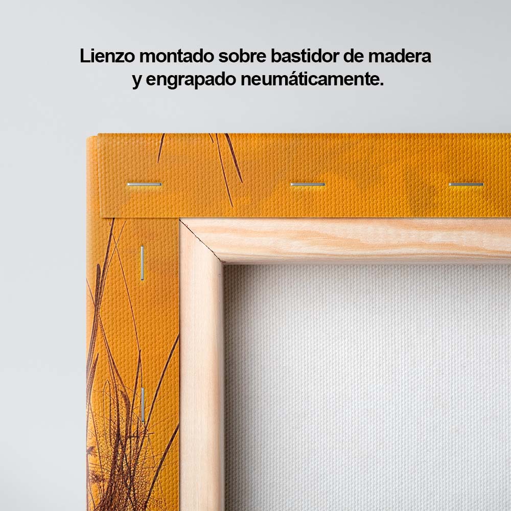Serenidad en lo natural