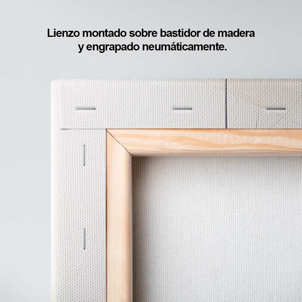 Fragmentos de Tierra