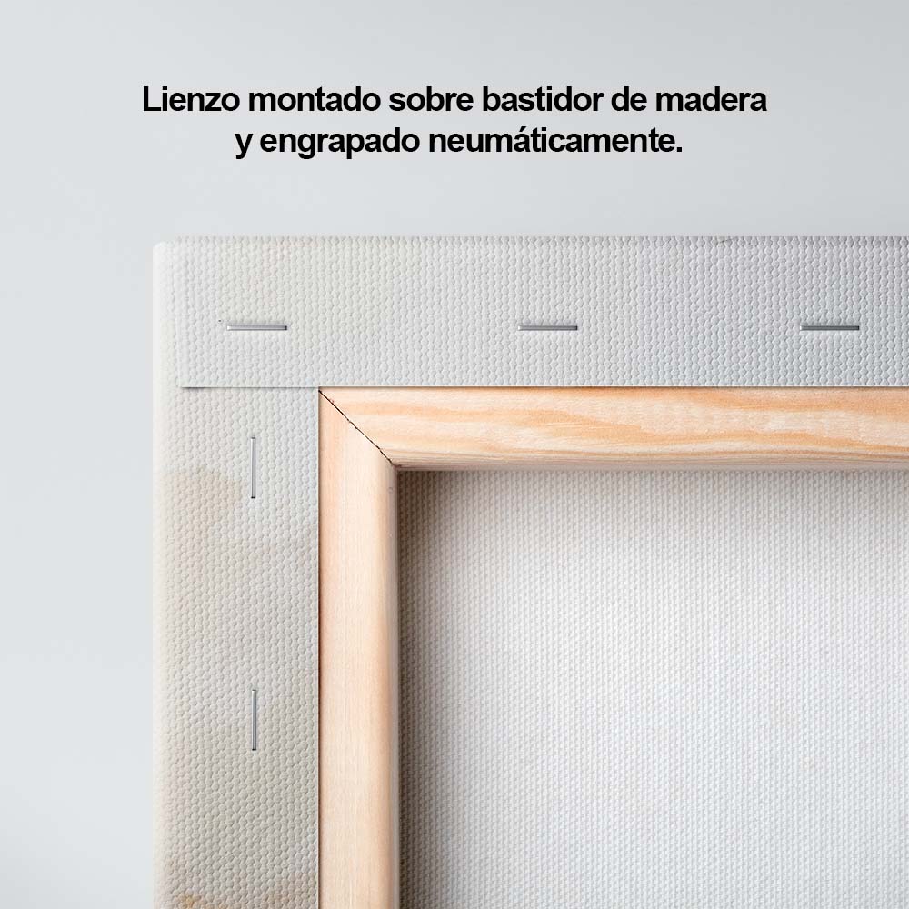 Paz Arenosa