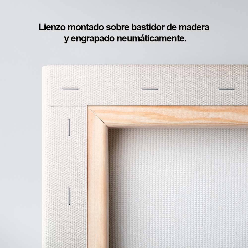 Cimientos Suaves