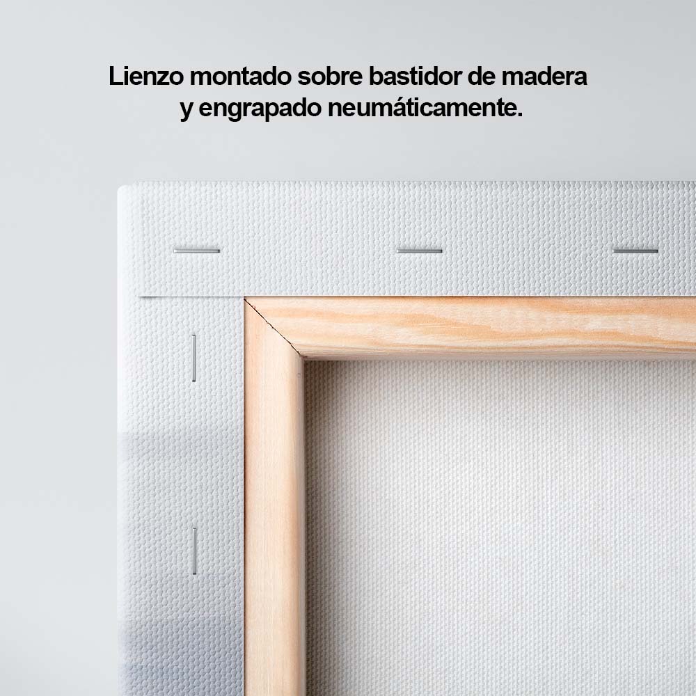 Armonía Fría