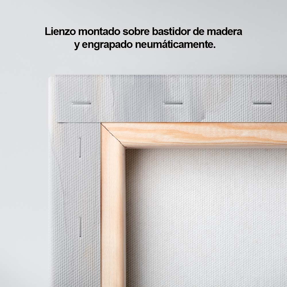 Pasos Sobre Arcilla