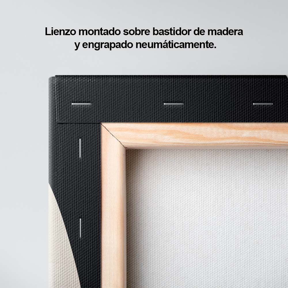 Marcas de Barro