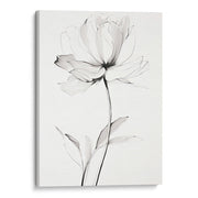 Bruma Floral