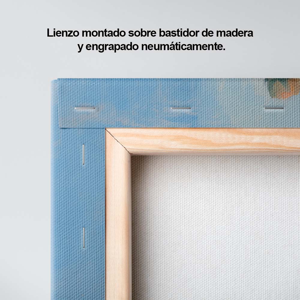 Ritmos del Vida