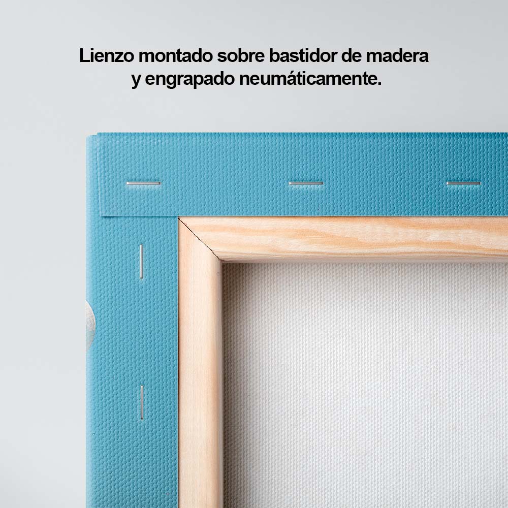 Velos de Colores