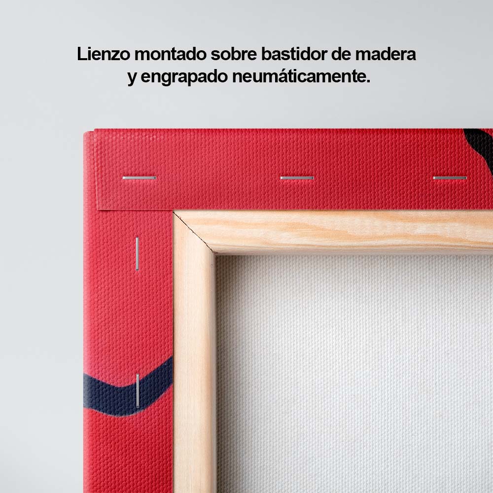 Danza de color