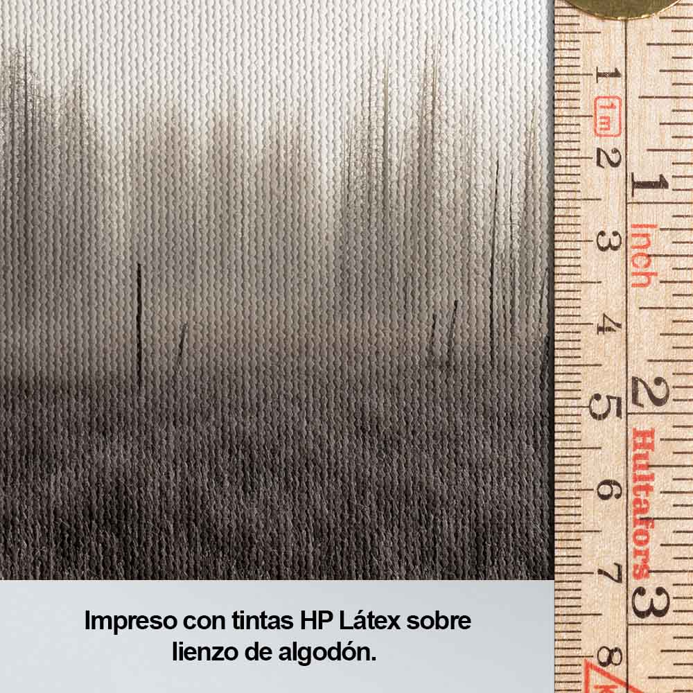 Bosque gris