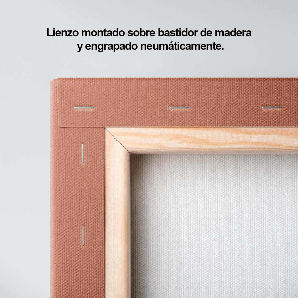 Jaguar Naranja