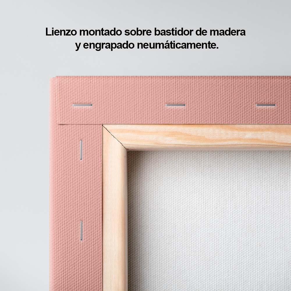 Zebra en fondo rosa