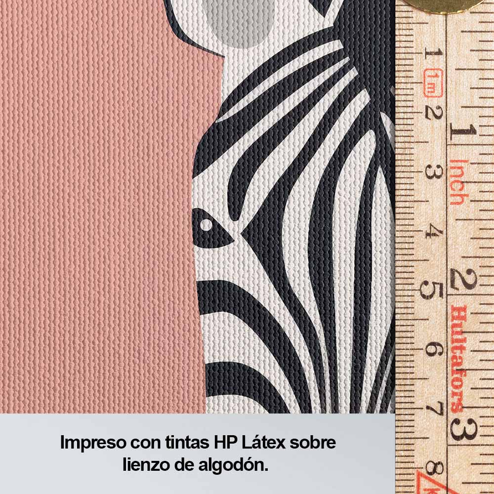 Zebra en fondo rosa