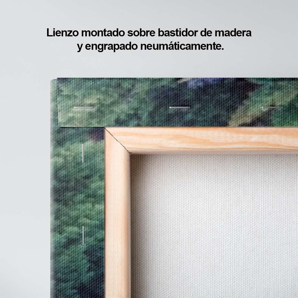 El camino de la vida