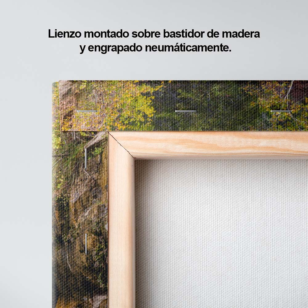Fuerza natural