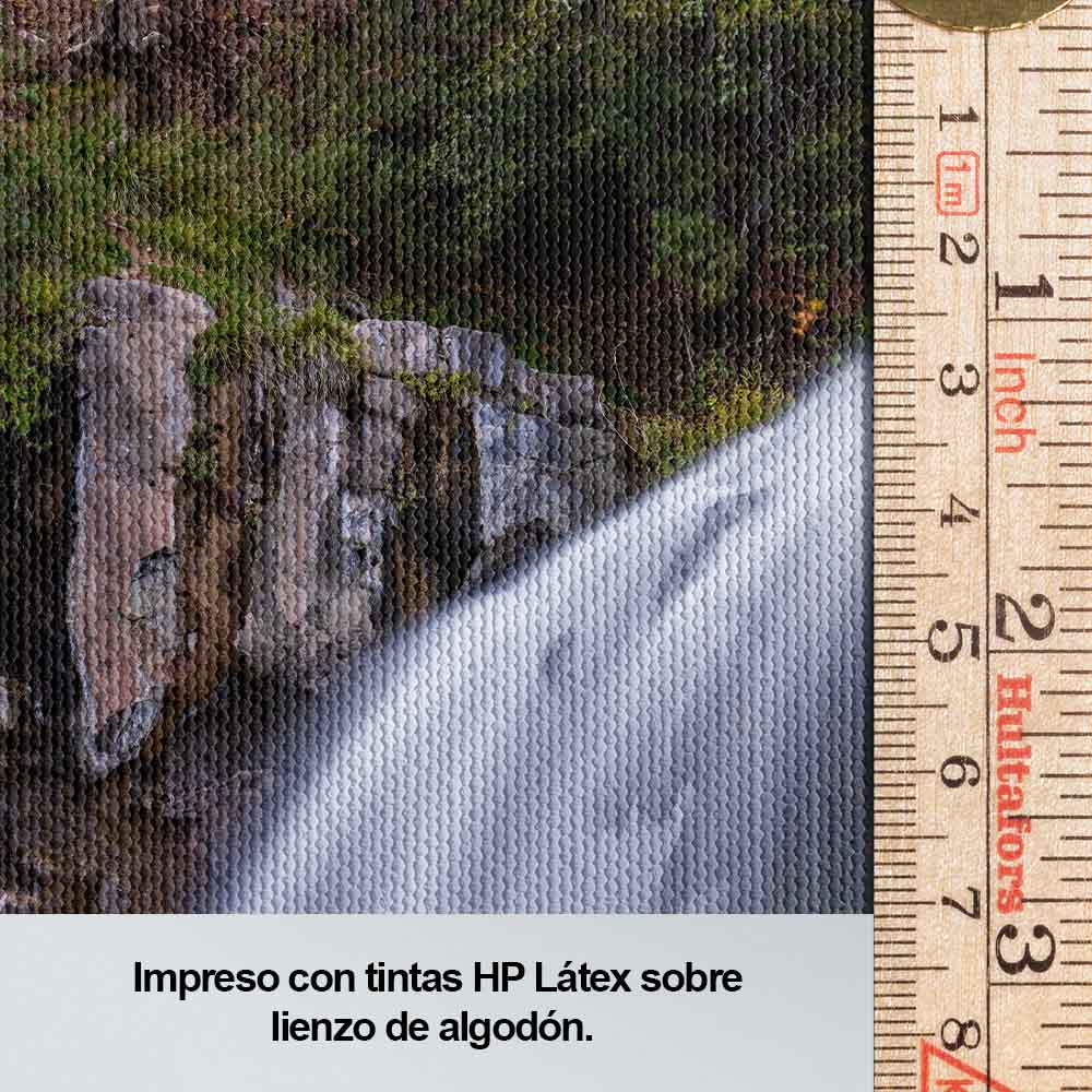 Fuerza natural
