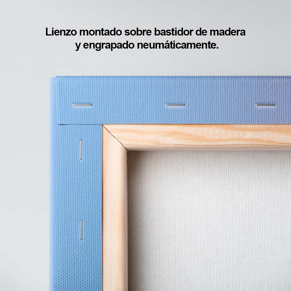 Vida en movimiento