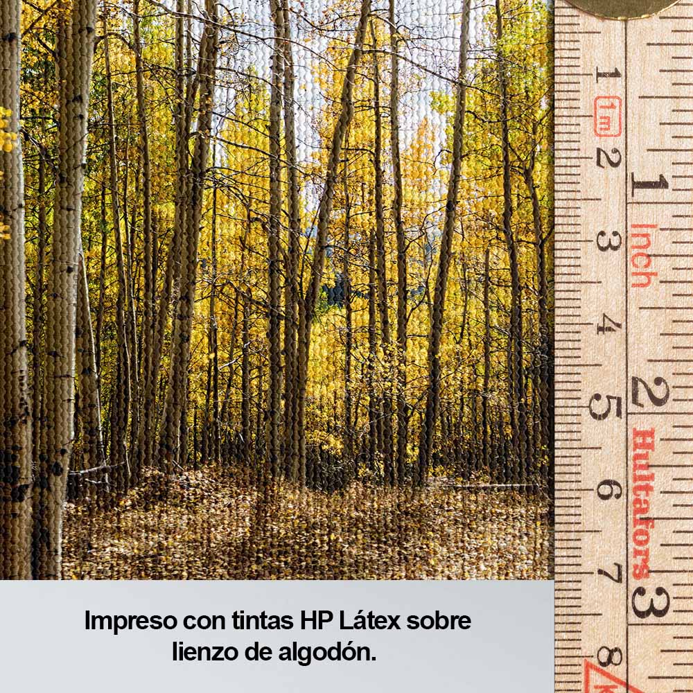 Bosque en otoño