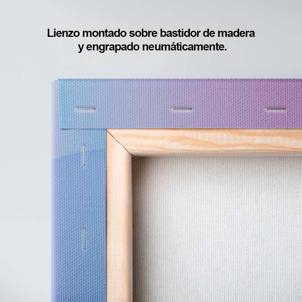 Visiones del futuro