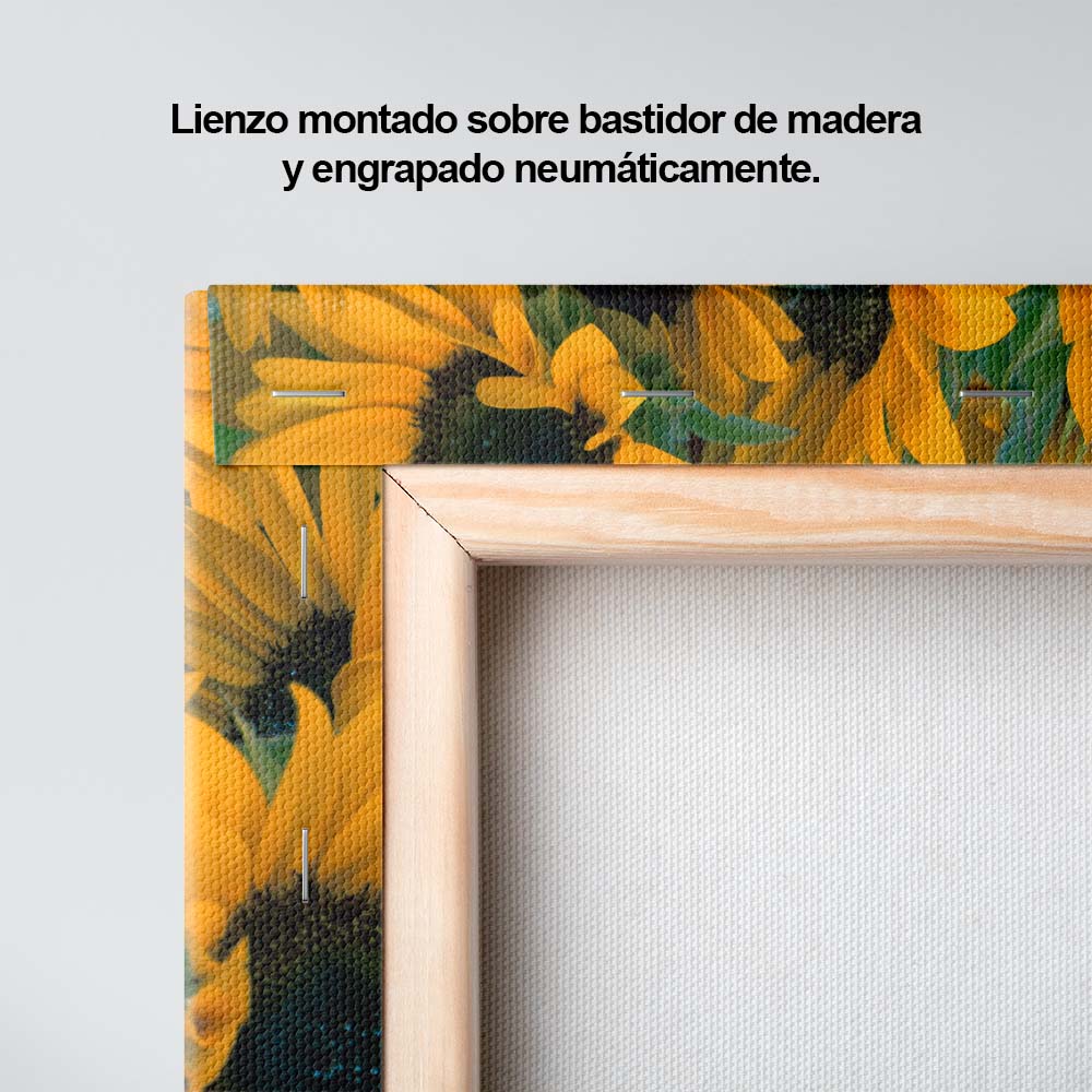 Jardín de ensueños
