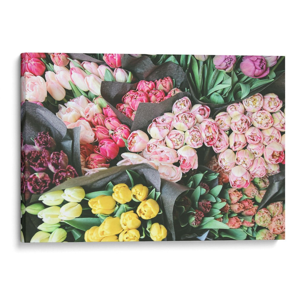 Tulipanes y rosas