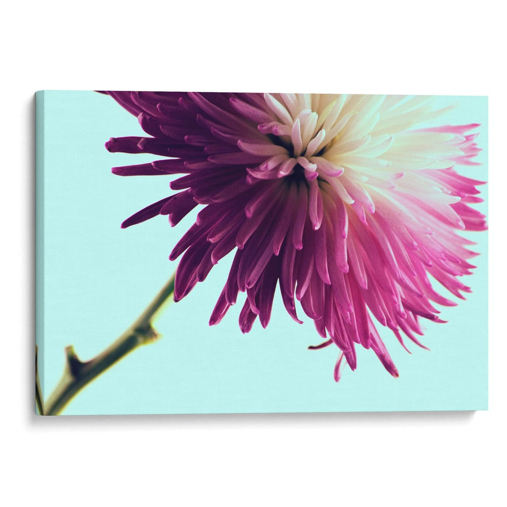 Flor especial