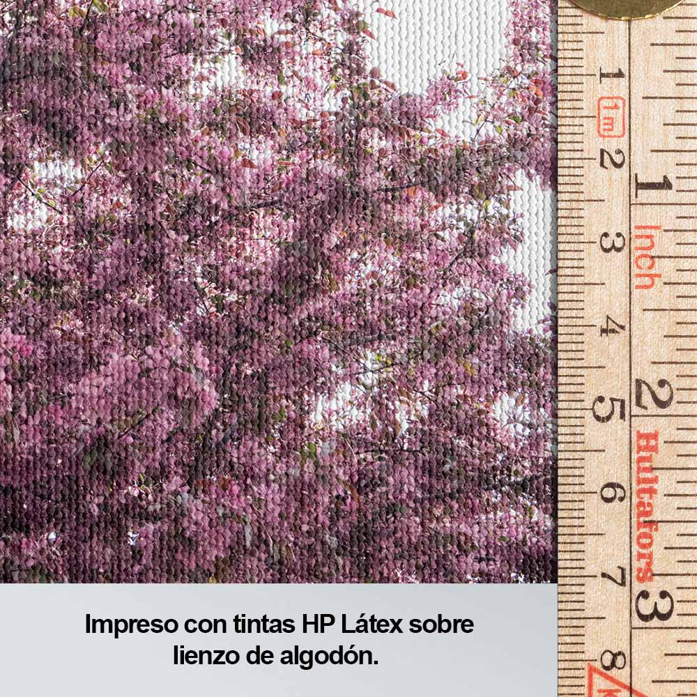 Rose Blossom