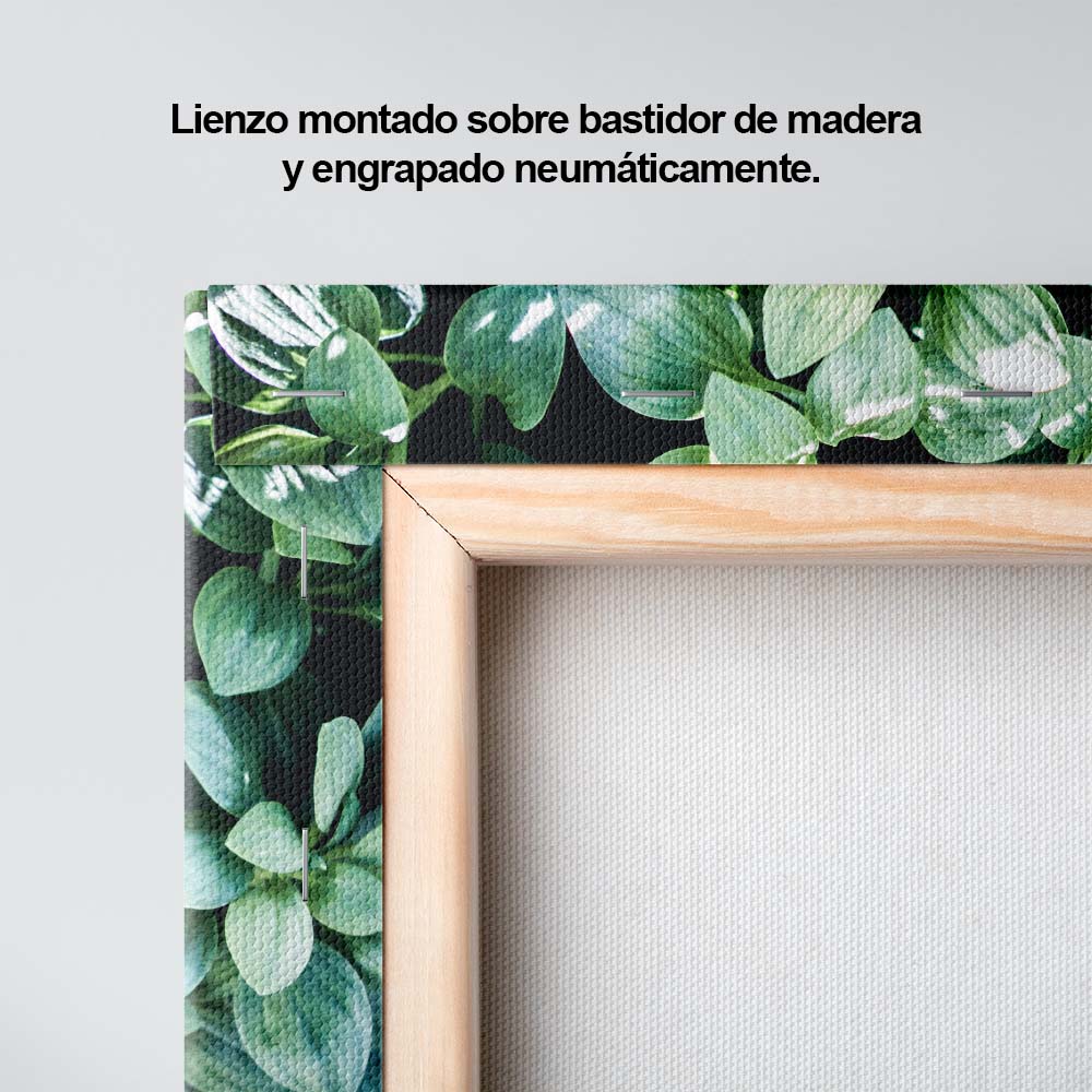 Jardín verde