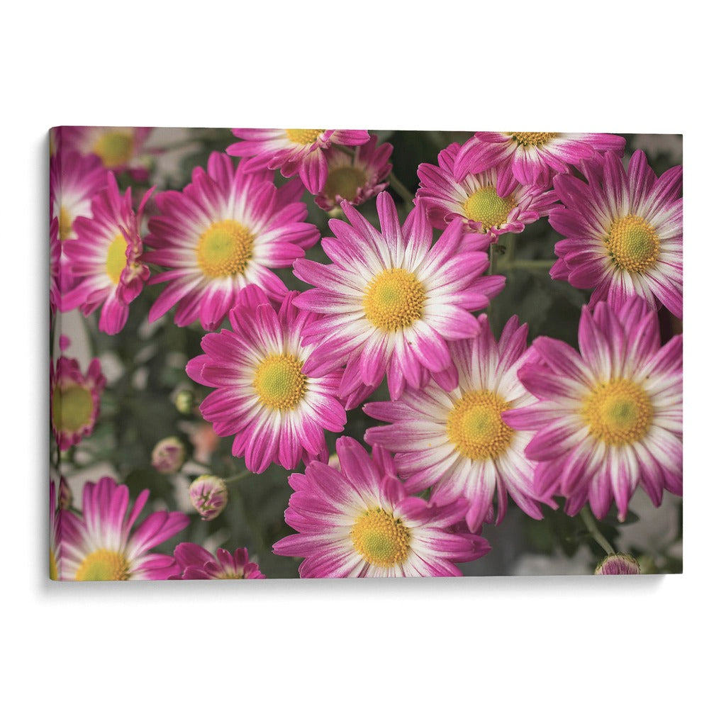 Flores y suspiros