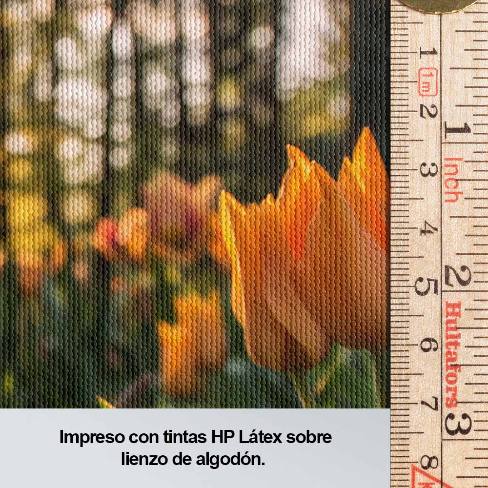 Flores de ensueño