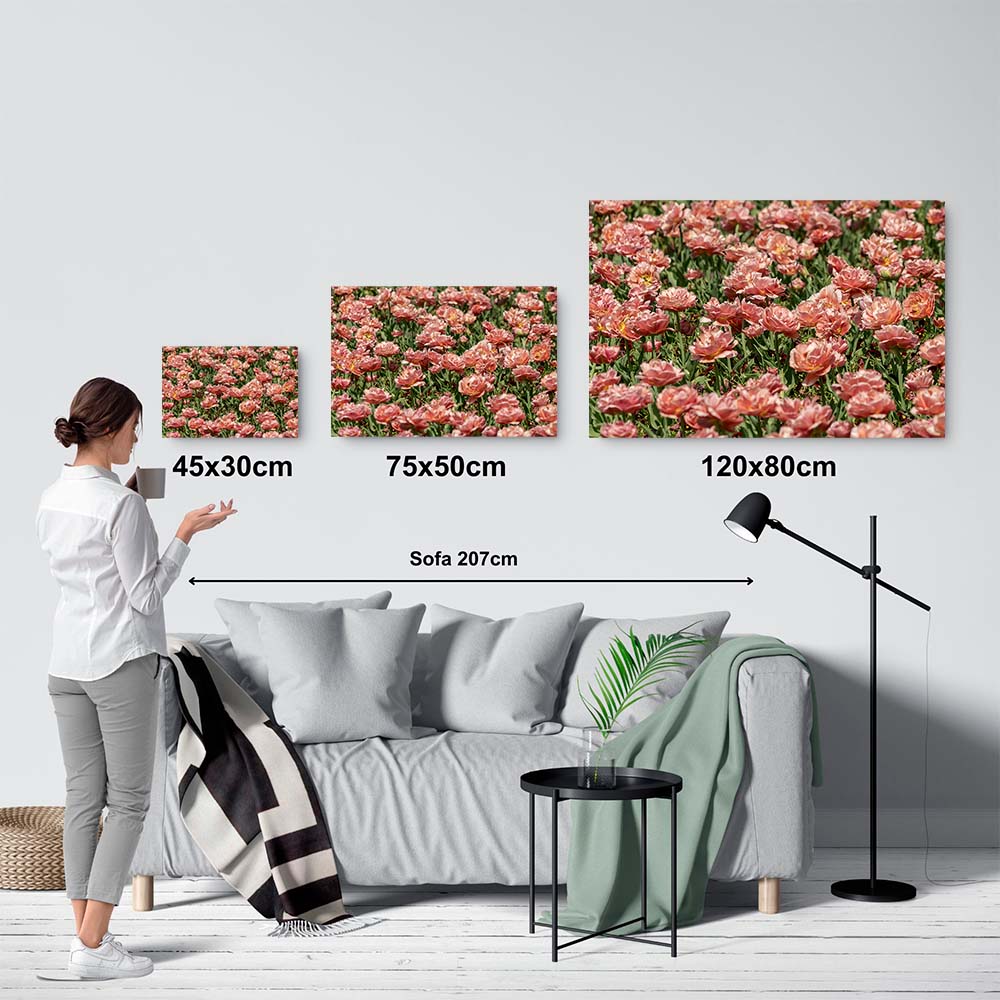 Paisaje floral