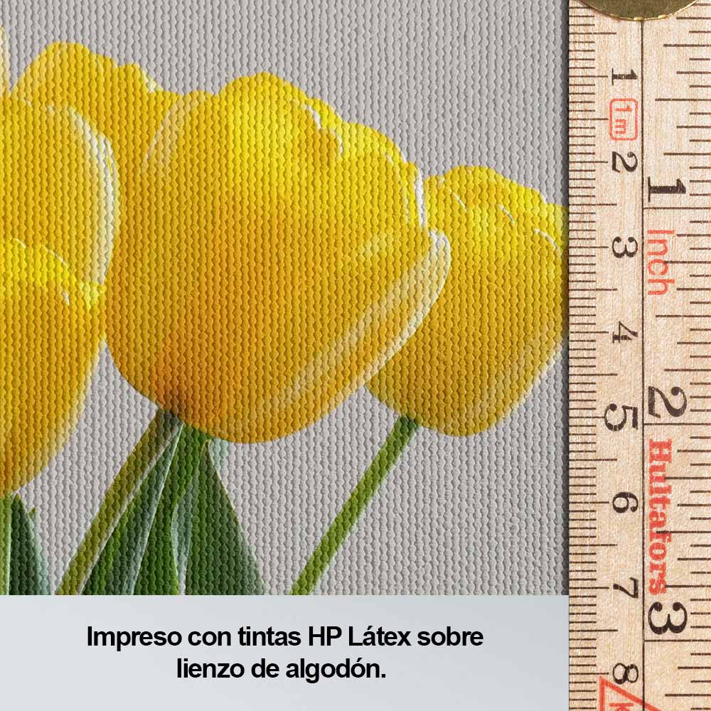 Rosas silvestres