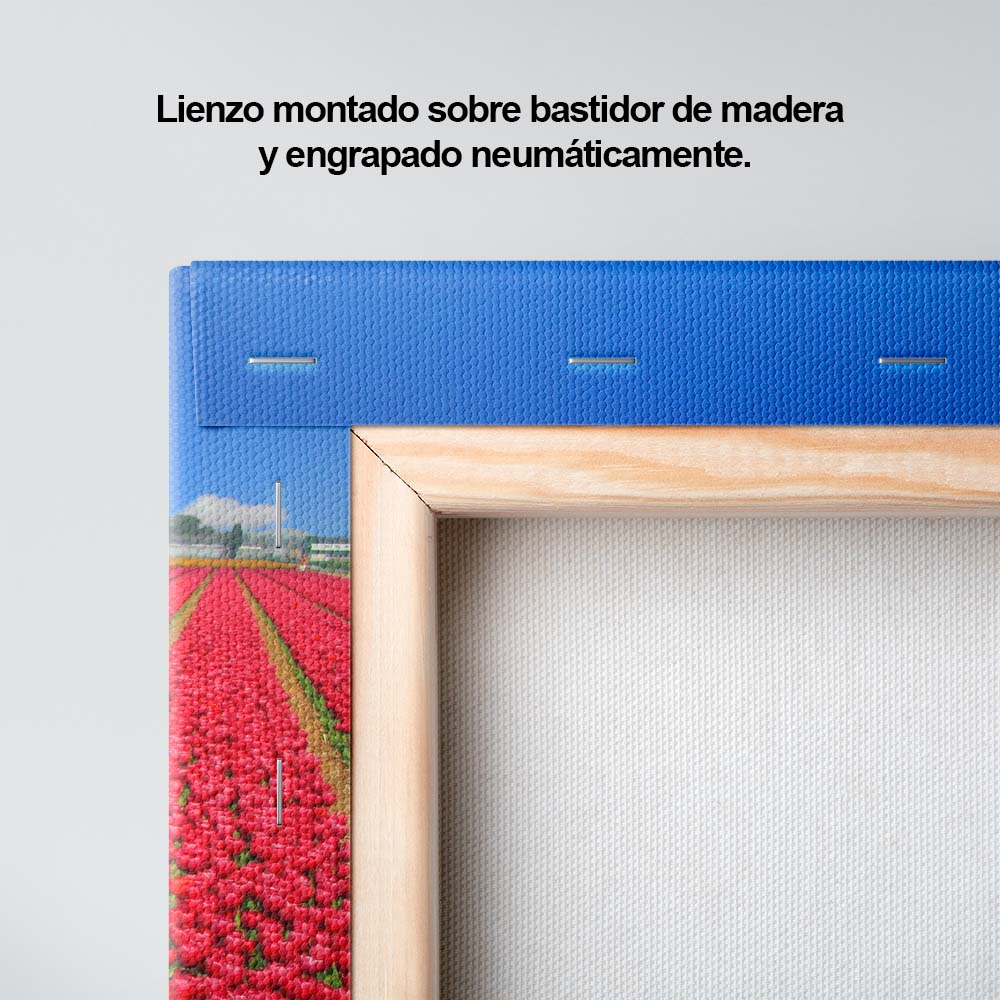 Flores de mi corazón