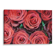 Flores de paz