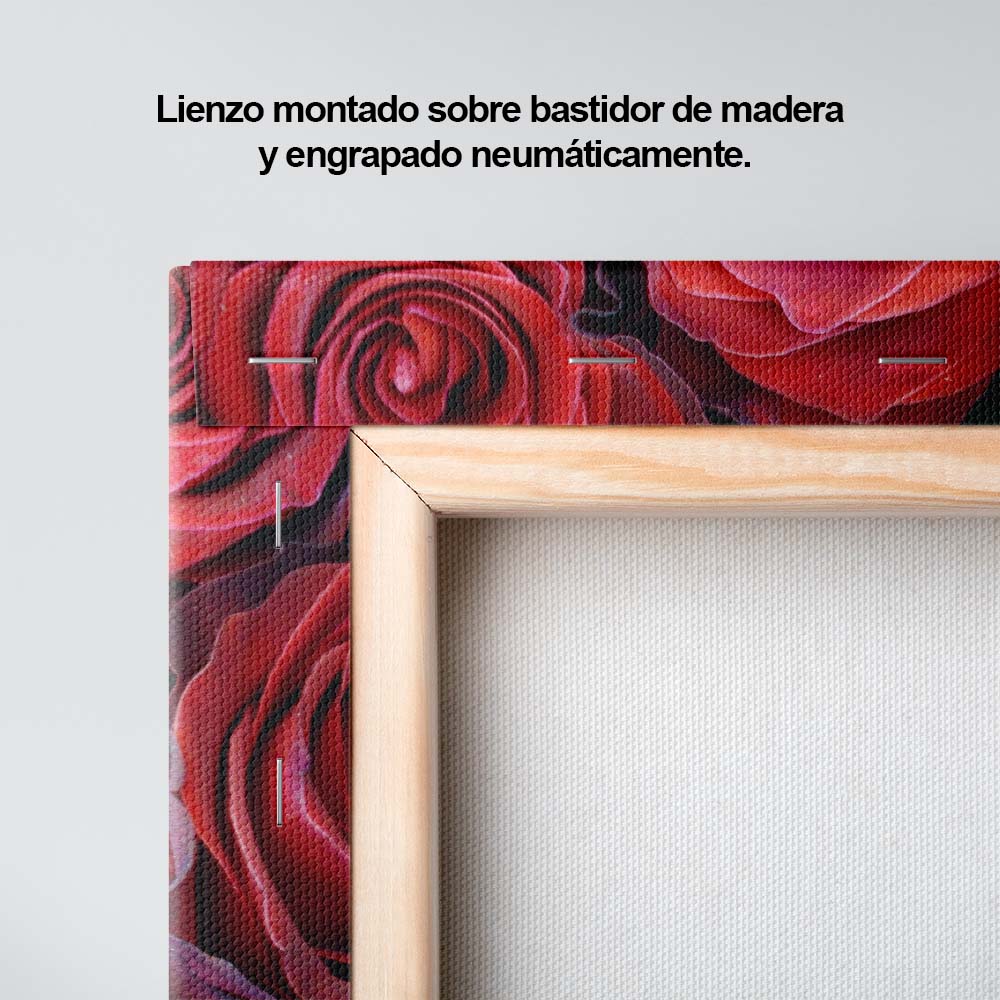 Flores de paz