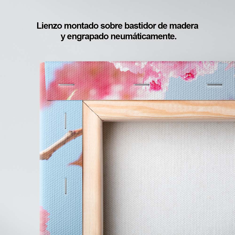 Flores en la tarde
