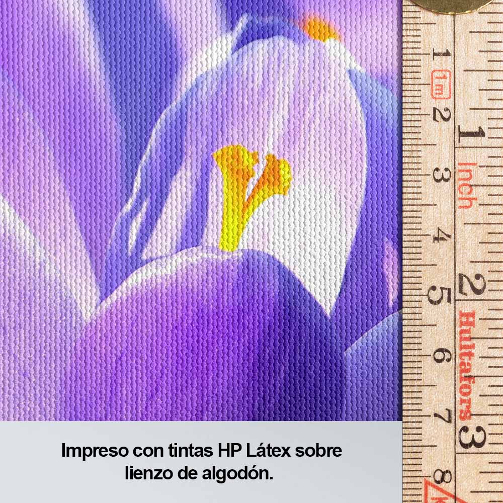 Flores de mi jardín